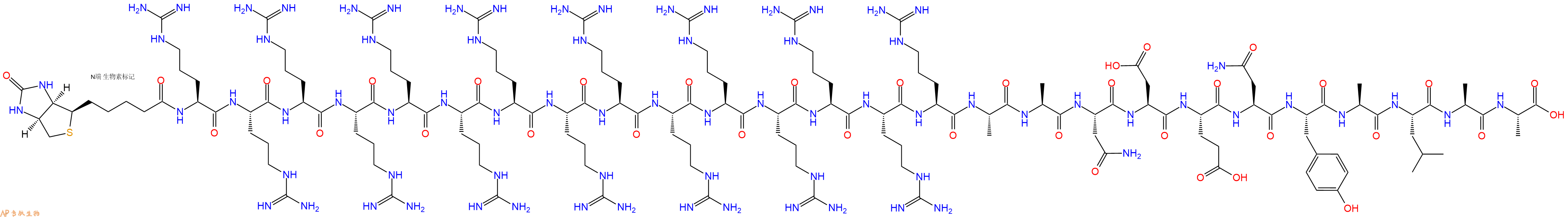 专肽生物产品Biotinyl-Arg-Arg-Arg-Arg-Arg-Arg-Arg-Arg-Arg-Arg-Arg-Arg-Arg-Arg-Arg-Ala-Ala-Asn-Asp-Glu-Asn-Tyr-Ala-Leu-Ala-Ala-OH