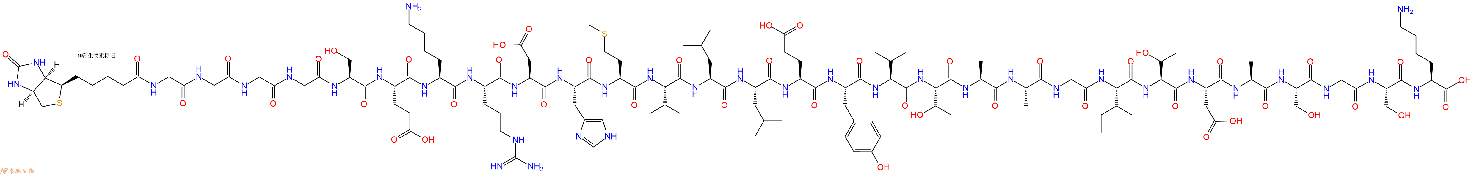 专肽生物产品Biotinyl-Gly-Gly-Gly-Gly-Ser-Glu-Lys-Arg-Asp-His-Met-Val-Leu-Leu-Glu-Tyr-Val-Thr-Ala-Ala-Gly-Ile-Thr-Asp-Ala-Ser-Gly-Ser-Lys-OH