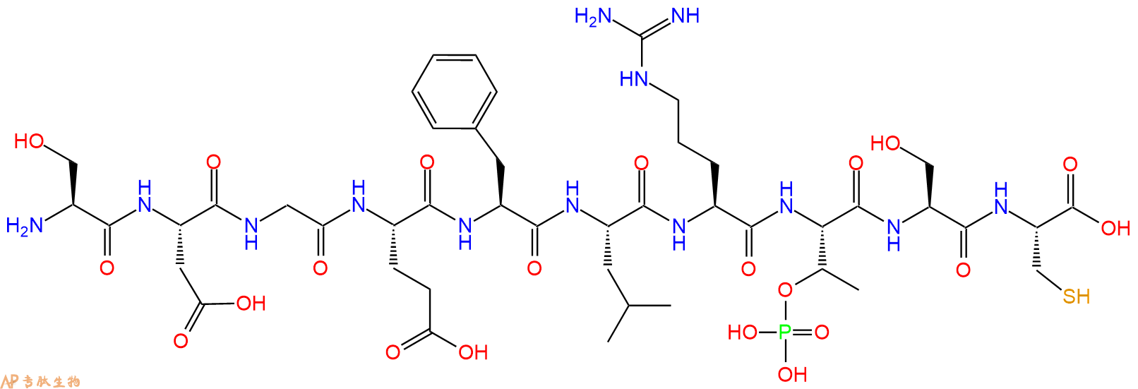 专肽生物产品H2N-Ser-Asp-Gly-Glu-Phe-Leu-Arg-pThr-Ser-Cys-OH