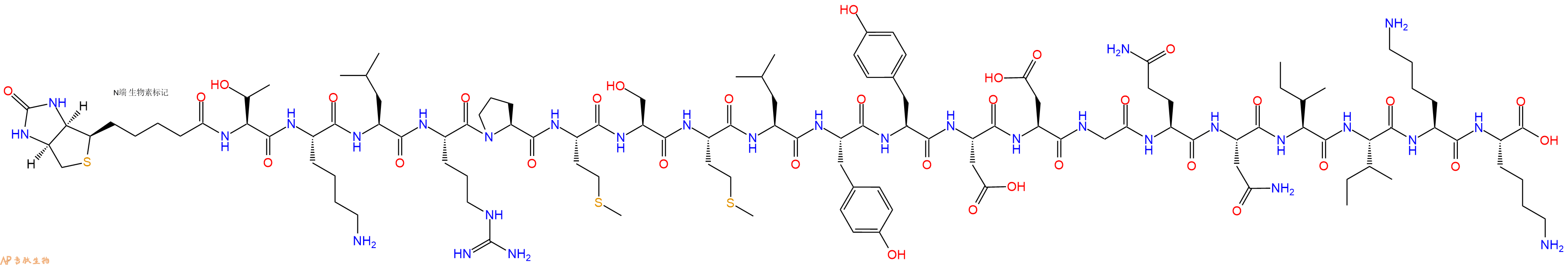 专肽生物产品Biotinyl-Thr-Lys-Leu-Arg-Pro-Met-Ser-Met-Leu-Tyr-Tyr-Asp-Asp-Gly-Gln-Asn-Ile-Ile-Lys-Lys-OH
