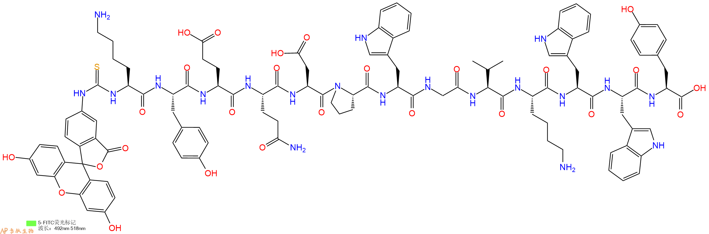 专肽生物产品5FITC-Lys-Tyr-Glu-Gln-Asp-Pro-Trp-Gly-Val-Lys-Trp-Trp-Tyr-OH
