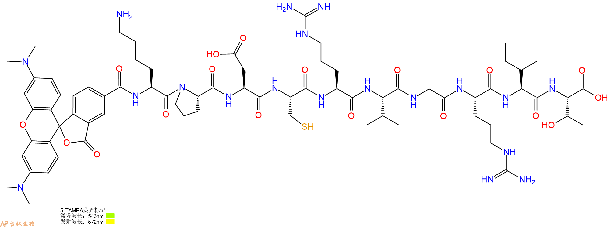 专肽生物产品5TAMRA-Lys-Pro-Asp-Cys-Arg-Val-Gly-Arg-Ile-Thr-OH