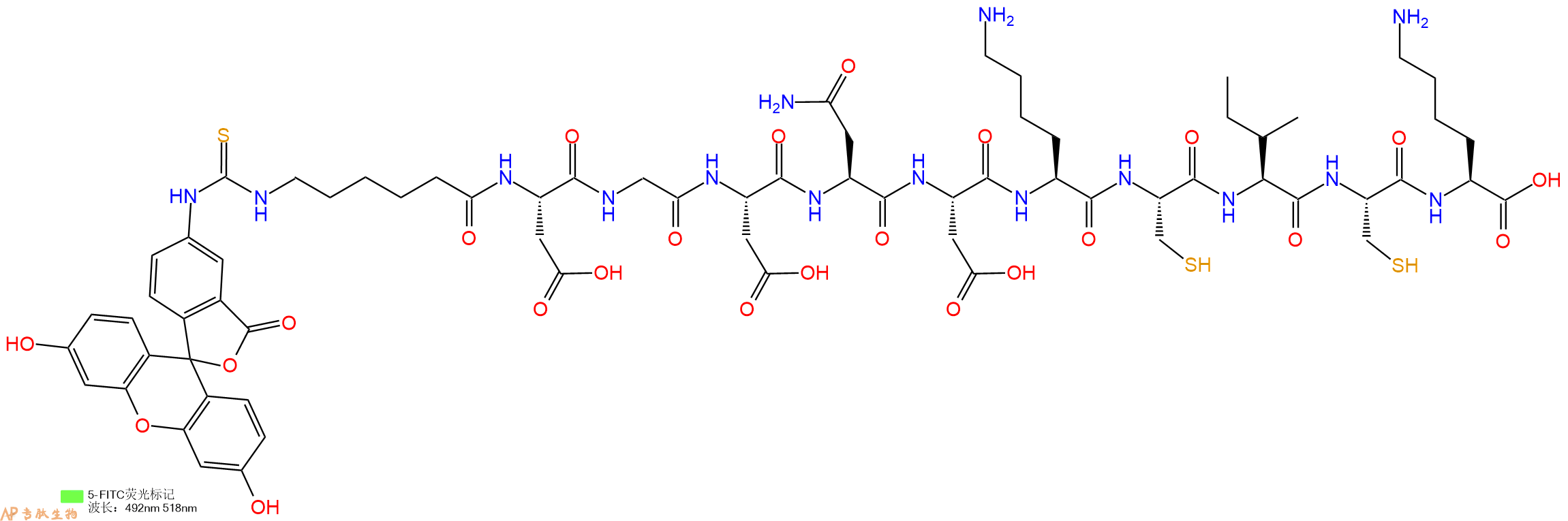 专肽生物产品5FITC-Ahx-Asp-Gly-Asp-Asn-Asp-Lys-Cys-Ile-Cys-Lys-OH