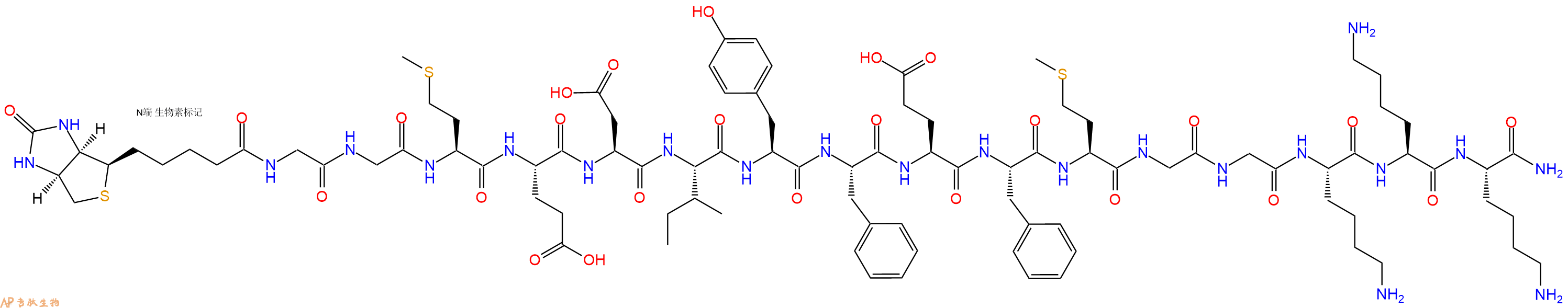 专肽生物产品Biotinyl-Gly-Gly-Met-Glu-Asp-Ile-Tyr-Phe-Glu-Phe-Met-Gly-Gly-Lys-Lys-Lys-CONH2