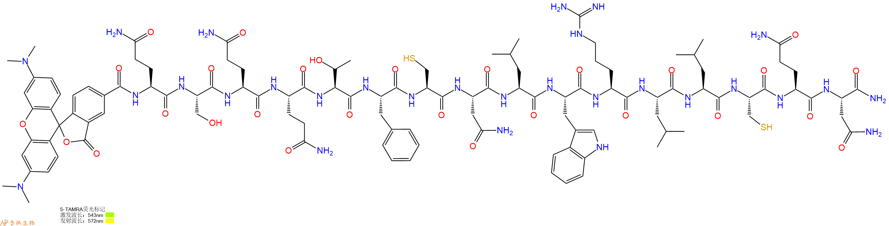 专肽生物产品5TAMRA-Gln-Ser-Gln-Gln-Thr-Phe-Cys-Asn-Leu-Trp-Arg-Leu-Leu-Cys-Gln-Asn-CONH2