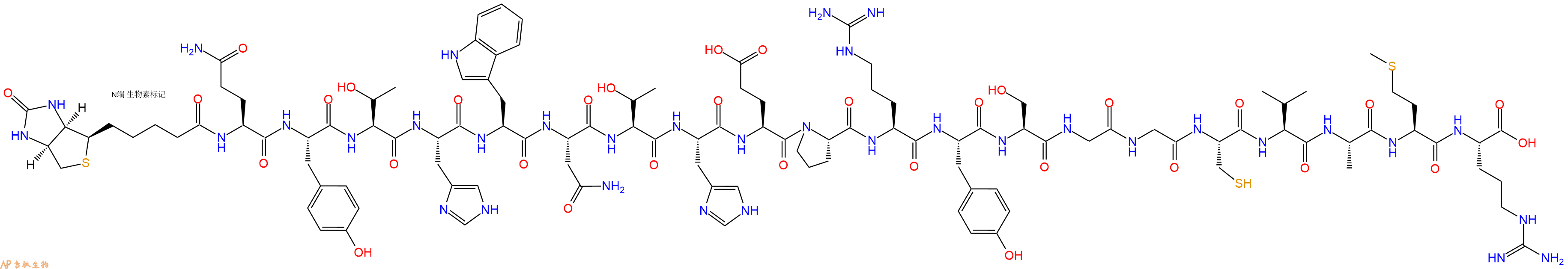 专肽生物产品Biotinyl-Gln-Tyr-Thr-His-Trp-Asn-Thr-His-Glu-Pro-Arg-Tyr-Ser-Gly-Gly-Cys-Val-Ala-Met-Arg-OH