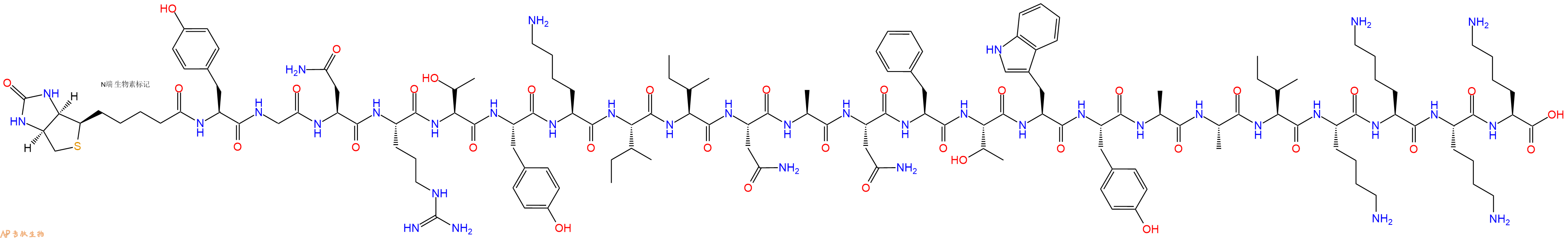 专肽生物产品Biotinyl-Tyr-Gly-Asn-Arg-Thr-Tyr-Lys-Ile-Ile-Asn-Ala-Asn-Phe-Thr-Trp-Tyr-Ala-Ala-Ile-Lys-Lys-Lys-Lys-OH