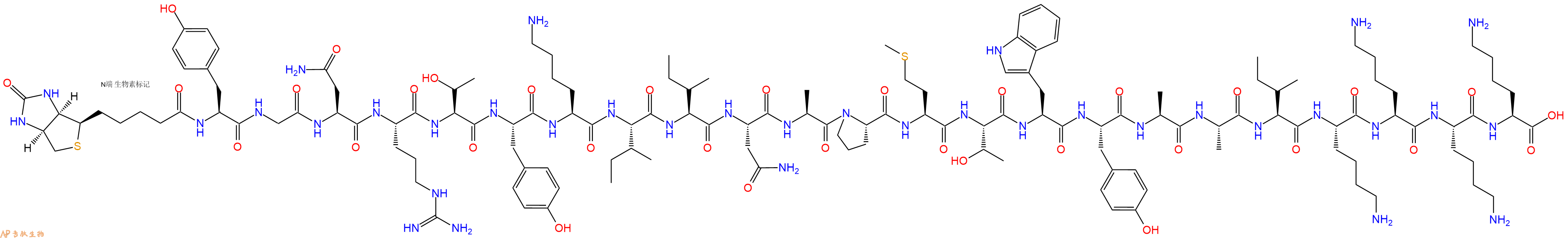 专肽生物产品Biotinyl-Tyr-Gly-Asn-Arg-Thr-Tyr-Lys-Ile-Ile-Asn-Ala-Pro-Met-Thr-Trp-Tyr-Ala-Ala-Ile-Lys-Lys-Lys-Lys-OH