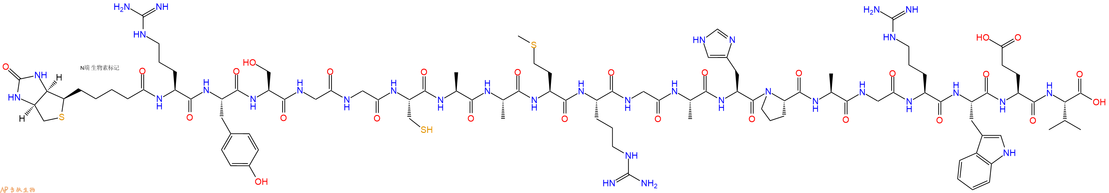 专肽生物产品Biotinyl-Arg-Tyr-Ser-Gly-Gly-Cys-Ala-Ala-Met-Arg-Gly-Ala-His-Pro-Ala-Gly-Arg-Trp-Glu-Val-OH