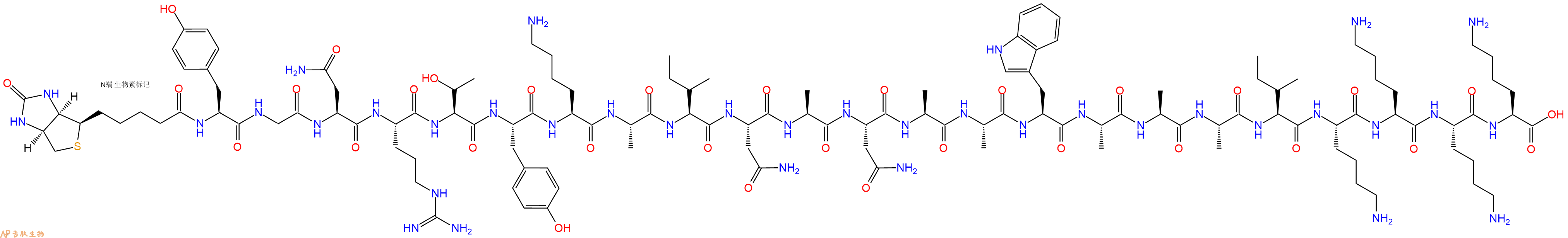 专肽生物产品Biotinyl-Tyr-Gly-Asn-Arg-Thr-Tyr-Lys-Ala-Ile-Asn-Ala-Asn-Ala-Ala-Trp-Ala-Ala-Ala-Ile-Lys-Lys-Lys-Lys-OH