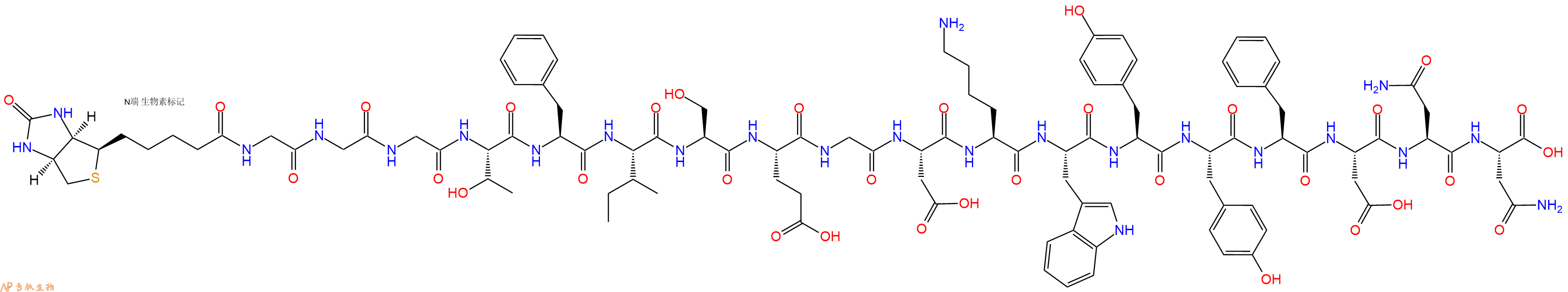 专肽生物产品Biotinyl-Gly-Gly-Gly-Thr-Phe-Ile-Ser-Glu-Gly-Asp-Lys-Trp-Tyr-Tyr-Phe-Asp-Asn-Asn-OH