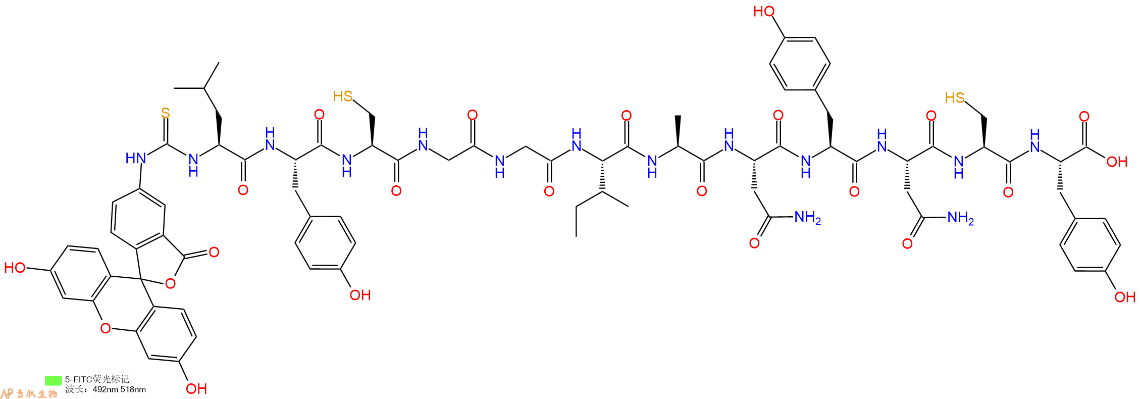 专肽生物产品5FITC-Leu-Tyr-Cys-Gly-Gly-Ile-Ala-Asn-Tyr-Asn-Cys-Tyr-OH
