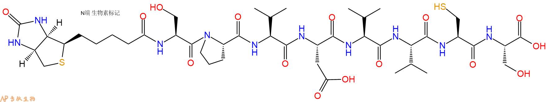 专肽生物产品Biotinyl-Ser-Pro-Val-Asp-Val-Val-Cys-Ser-OH