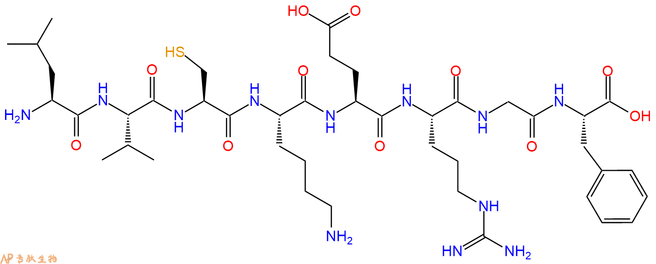 专肽生物产品H2N-Leu-Val-Cys-Lys-Glu-Arg-Gly-Phe-OH