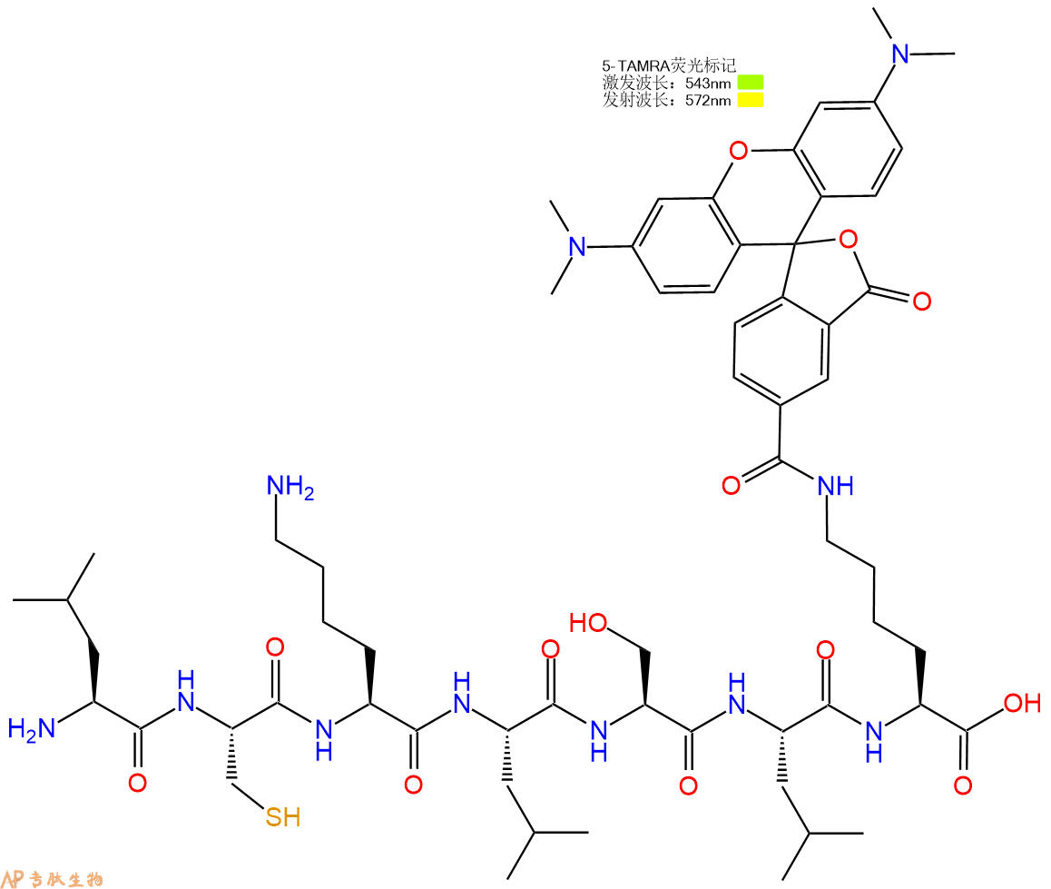 专肽生物产品H2N-Leu-Cys-Lys-Leu-Ser-Leu-Lys(TAMRA)-OH