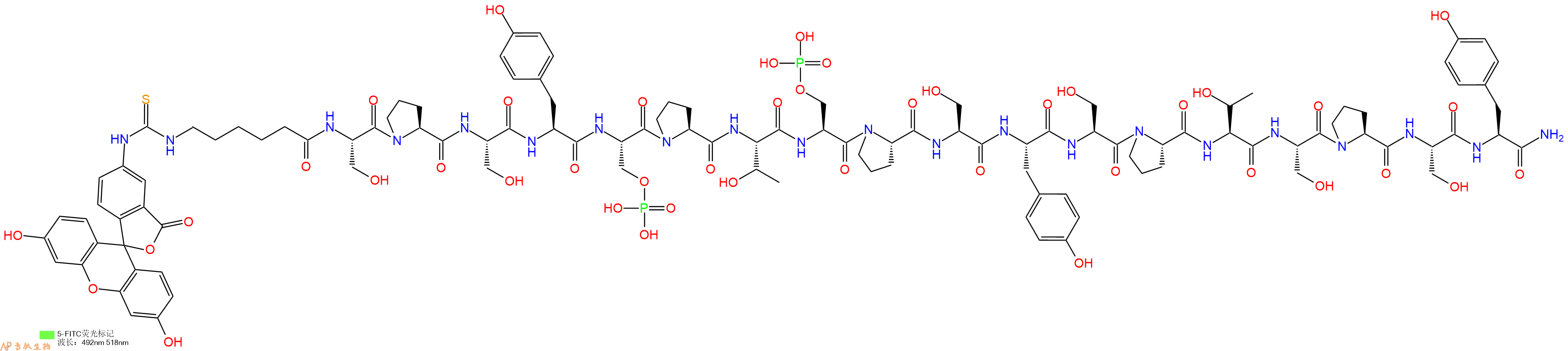专肽生物产品5FITC-Ahx-Ser-Pro-Ser-Tyr-Ser(PO3H2)-Pro-Thr-Ser(PO3H2)-Pro-Ser-Tyr-Ser-Pro-Thr-Ser-Pro-Ser-Tyr-CONH2