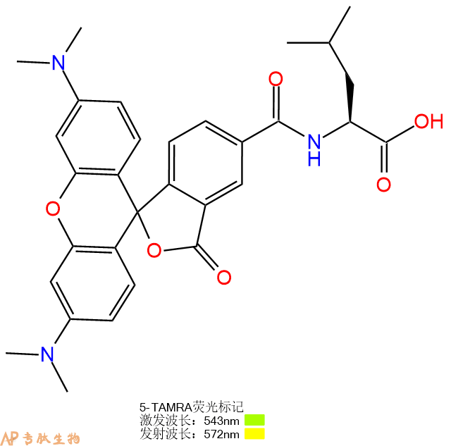 专肽生物产品5TAMRA-Leu-OH