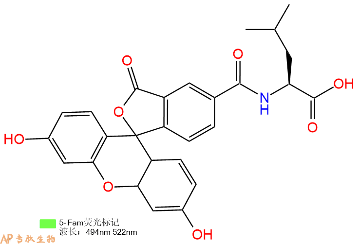 专肽生物产品5FAM-Leu-OH