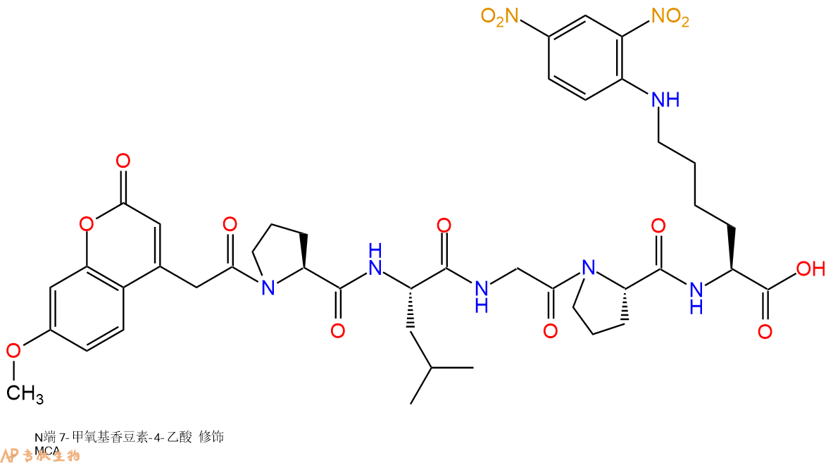 专肽生物产品MCA-Pro-Leu-Gly-Pro-Lys(Dnp)-OH
