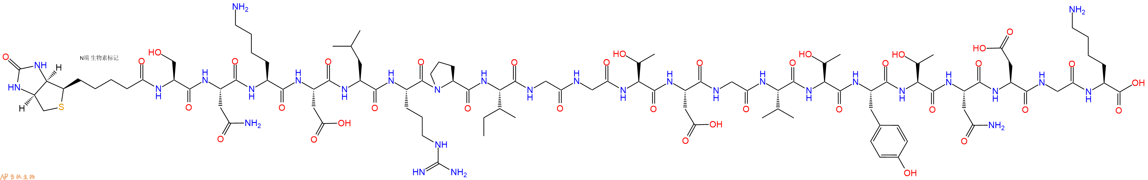 专肽生物产品Biotinyl-Ser-Asn-Lys-Asp-Leu-Arg-Pro-Ile-Gly-Gly-Thr-Asp-Gly-Val-Thr-Tyr-Thr-Asn-Asp-Gly-Lys-OH