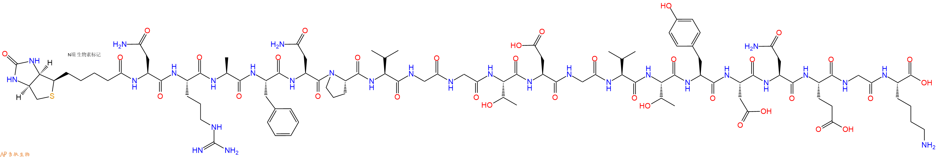 专肽生物产品Biotinyl-Asn-Arg-Ala-Phe-Asn-Pro-Val-Gly-Gly-Thr-Asp-Gly-Val-Thr-Tyr-Asp-Asn-Glu-Gly-Lys-OH