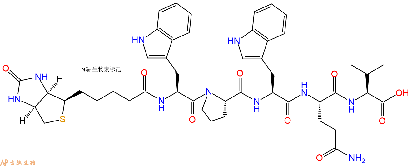 专肽生物产品Biotinyl-Trp-Pro-Trp-Gln-Val-OH