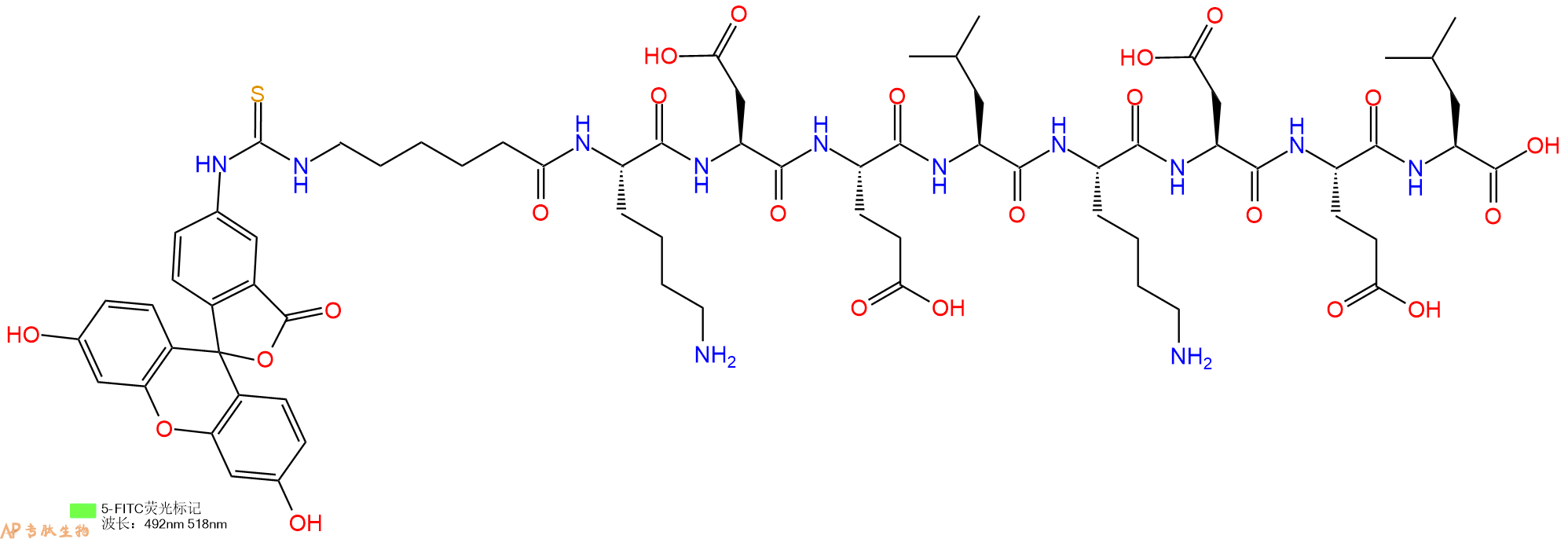 专肽生物产品5FITC-Ahx-Lys-Asp-Glu-Leu-Lys-Asp-Glu-Leu-OH