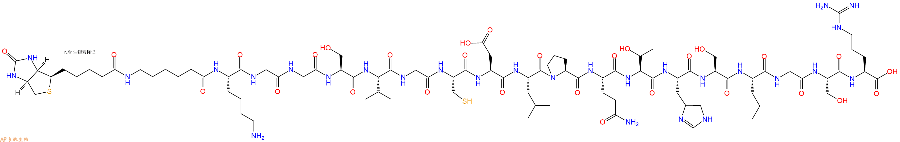 专肽生物产品Biotinyl-Ahx-Lys-Gly-Gly-Ser-Val-Gly-Cys-Asp-Leu-Pro-Gln-Thr-His-Ser-Leu-Gly-Ser-Arg-OH