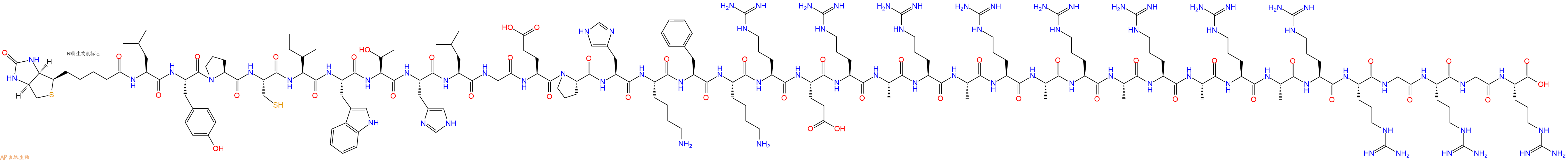 专肽生物产品Biotinyl-Leu-Tyr-Pro-Cys-Ile-Trp-Thr-His-Leu-Gly-Glu-Pro-His-Lys-Phe-Lys-Arg-Glu-Arg-Ala-Arg-Ala-Arg-Ala-Arg-Ala-Arg-Ala-Arg-Ala-Arg-Arg-Gly-Arg-Gly-Arg-OH