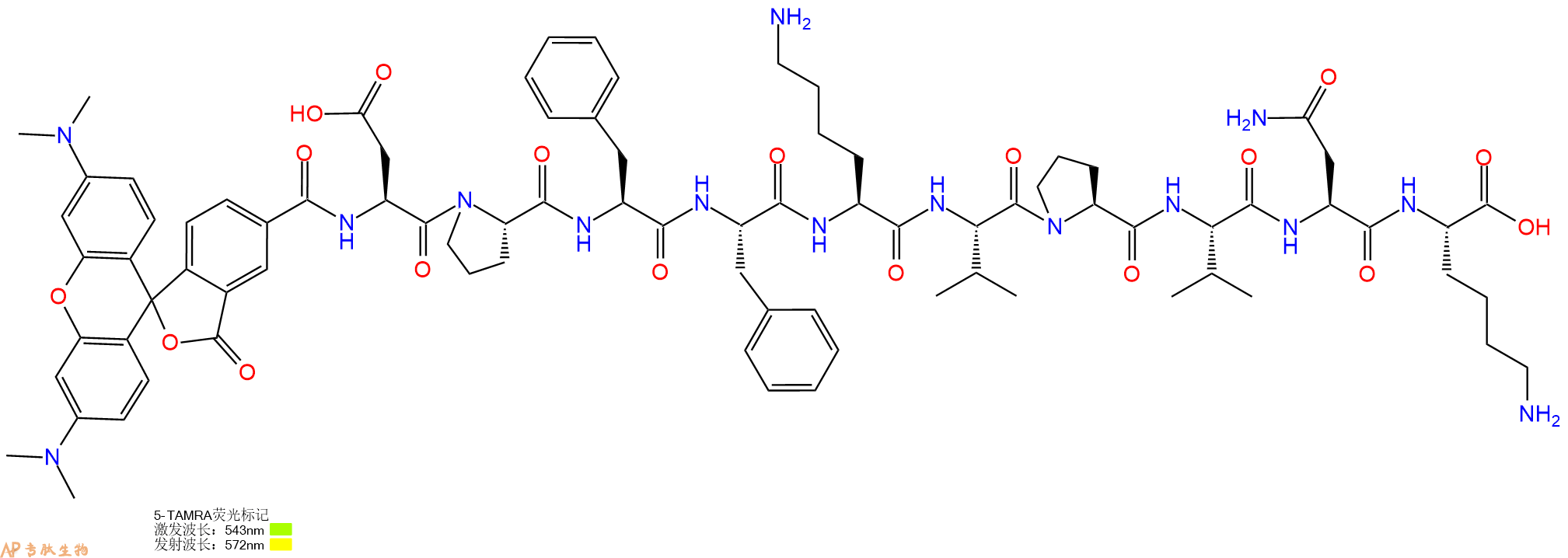 专肽生物产品5TAMRA-Asp-Pro-Phe-Phe-Lys-Val-Pro-Val-Asn-Lys-OH