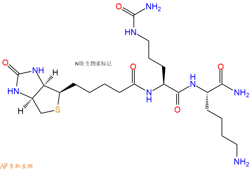 专肽生物产品Biotinyl-Cit-Lys-CONH2
