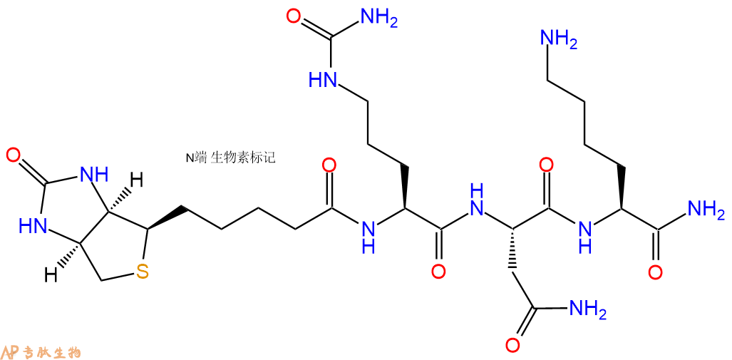 专肽生物产品Biotinyl-Cit-Asn-Lys-CONH2