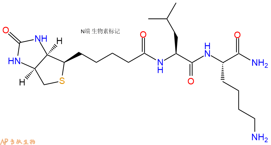 专肽生物产品Biotinyl-Leu-Lys-CONH2
