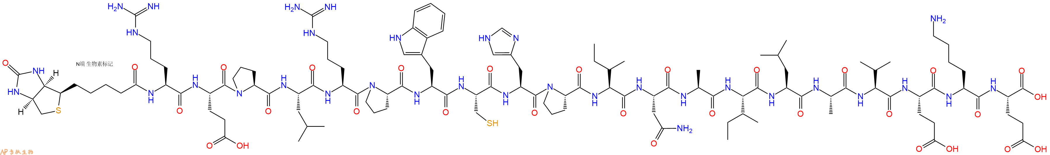 专肽生物产品Biotinyl-Arg-Glu-Pro-Leu-Arg-Pro-Trp-Cys-His-Pro-Ile-Asn-Ala-Ile-Leu-Ala-Val-Glu-Lys-Glu-OH