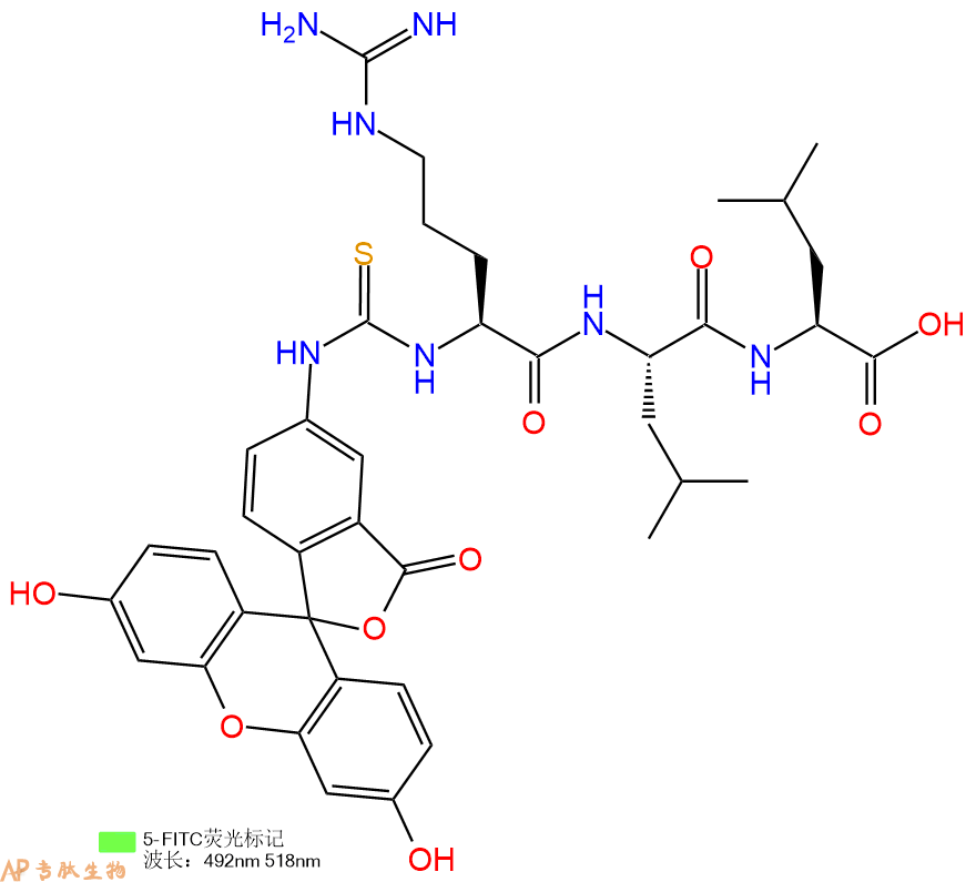 专肽生物产品5FITC-Arg-Leu-Leu-OH
