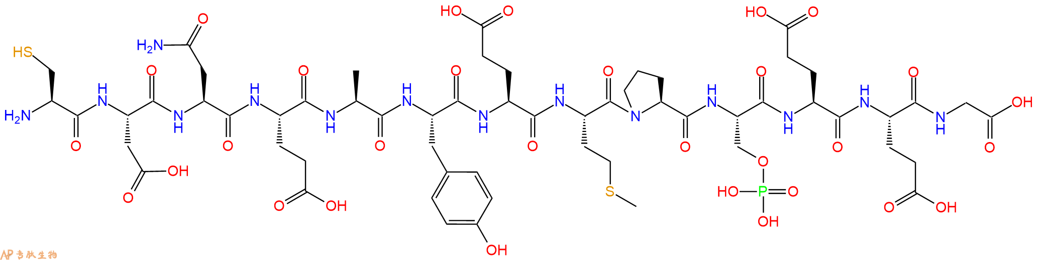专肽生物产品H2N-Cys-Asp-Asn-Glu-Ala-Tyr-Glu-Met-Pro-Ser(PO3H2)-Glu-Glu-Gly-OH