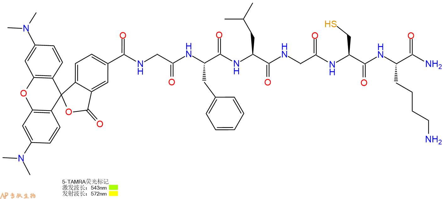 专肽生物产品5TAMRA-Gly-Phe-Leu-Gly-Cys-Lys-CONH2