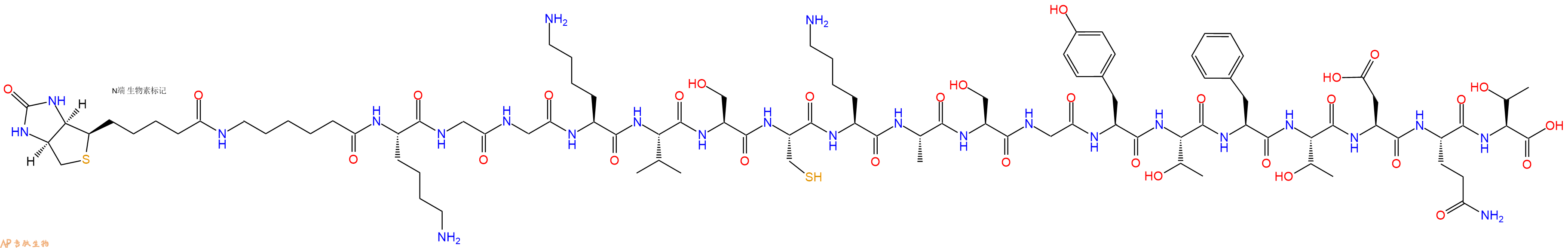 专肽生物产品Biotinyl-Ahx-Lys-Gly-Gly-Lys-Val-Ser-Cys-Lys-Ala-Ser-Gly-Tyr-Thr-Phe-Thr-Asp-Gln-Thr-OH