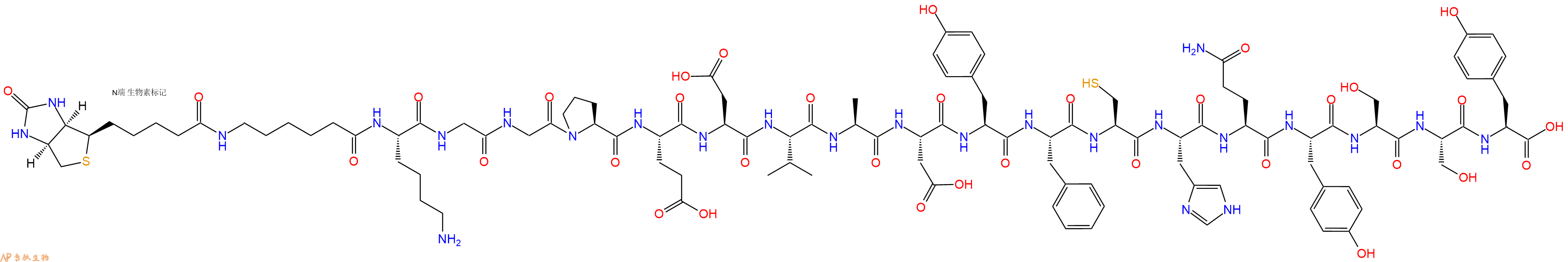 专肽生物产品Biotinyl-Ahx-Lys-Gly-Gly-Pro-Glu-Asp-Val-Ala-Asp-Tyr-Phe-Cys-His-Gln-Tyr-Ser-Ser-Tyr-OH
