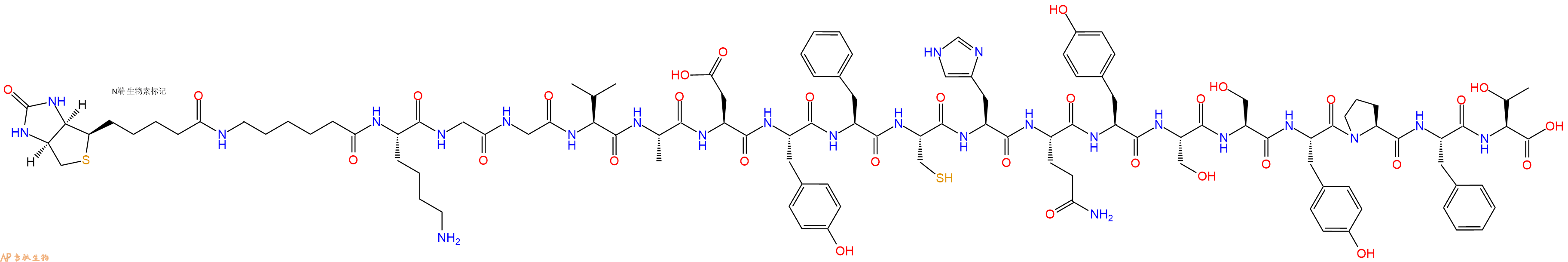 专肽生物产品Biotinyl-Ahx-Lys-Gly-Gly-Val-Ala-Asp-Tyr-Phe-Cys-His-Gln-Tyr-Ser-Ser-Tyr-Pro-Phe-Thr-OH