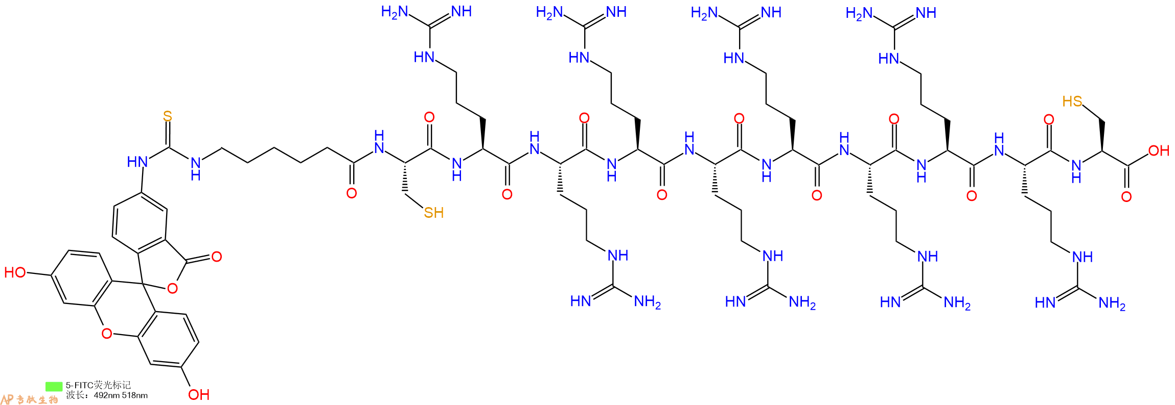 专肽生物产品5FITC-Ahx-Cys-Arg-Arg-Arg-Arg-Arg-Arg-Arg-Arg-Cys-OH