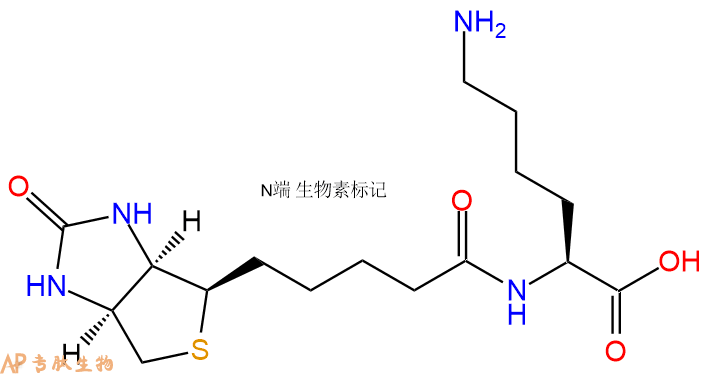专肽生物产品Biotinyl-Lys-OH