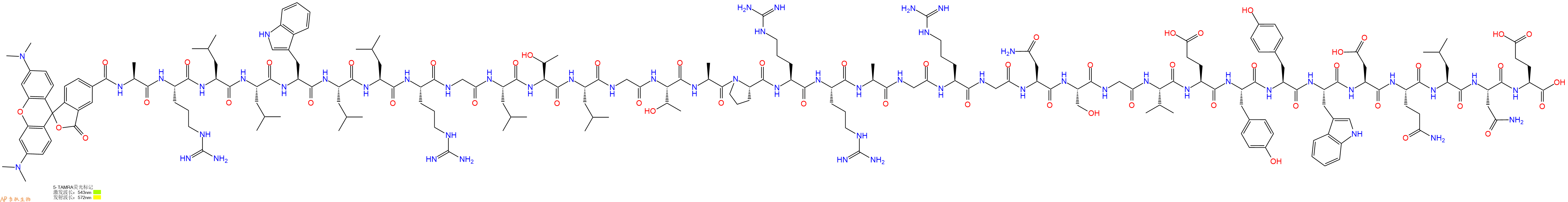 专肽生物产品5TAMRA-Ala-Arg-Leu-Leu-Trp-Leu-Leu-Arg-Gly-Leu-Thr-Leu-Gly-Thr-Ala-Pro-Arg-Arg-Ala-Gly-Arg-Gly-Asn-Ser-Gly-Val-Glu-Tyr-Tyr-Trp-Asp-Gln-Leu-Asn-Glu-OH