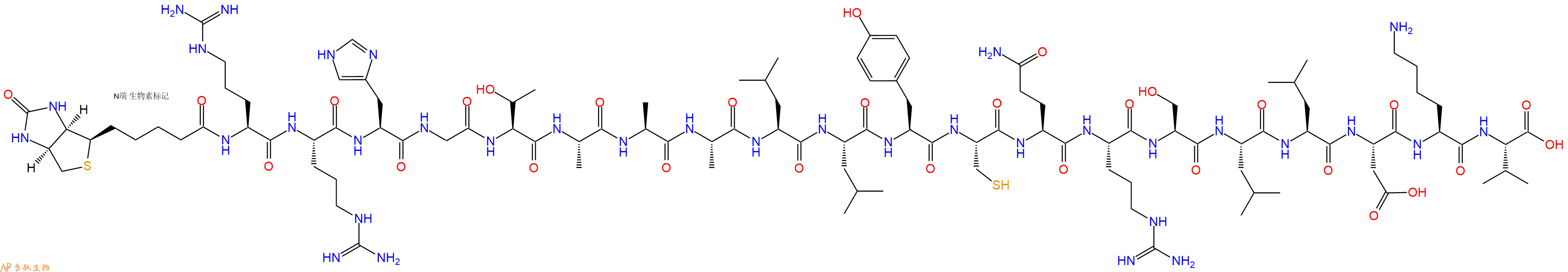 专肽生物产品Biotinyl-Arg-Arg-His-Gly-Thr-Ala-Ala-Ala-Leu-Leu-Tyr-Cys-Gln-Arg-Ser-Leu-Leu-Asp-Lys-Val-OH
