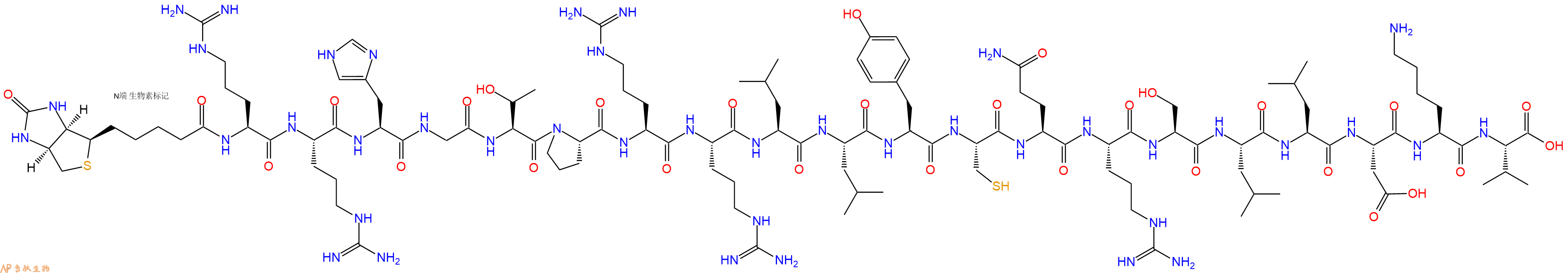 专肽生物产品Biotinyl-Arg-Arg-His-Gly-Thr-Pro-Arg-Arg-Leu-Leu-Tyr-Cys-Gln-Arg-Ser-Leu-Leu-Asp-Lys-Val-OH