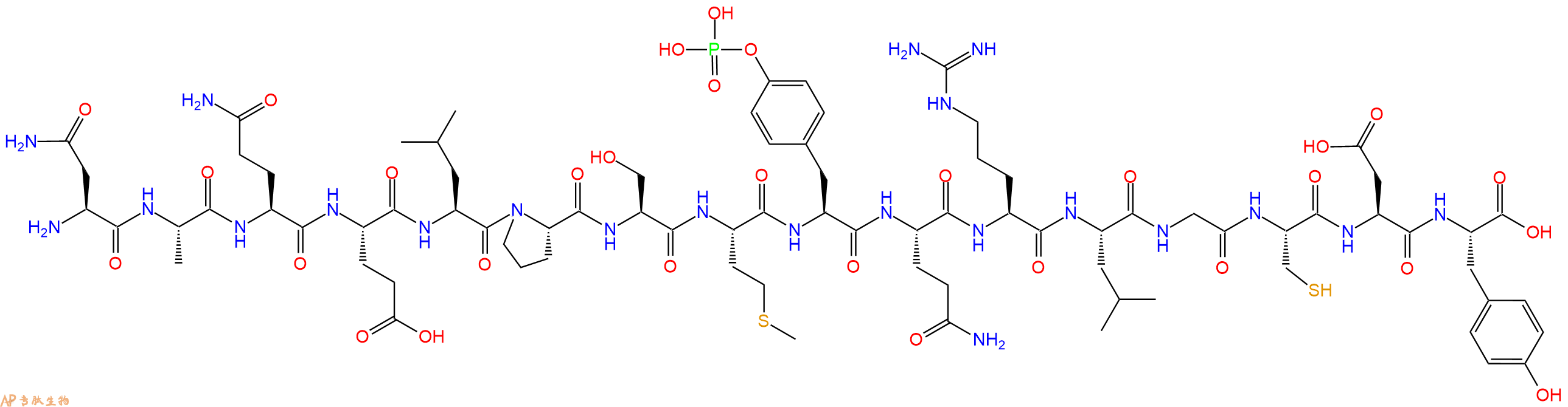 专肽生物产品H2N-Asn-Ala-Gln-Glu-Leu-Pro-Ser-Met-Tyr(PO3H2)-Gln-Arg-Leu-Gly-Cys-Asp-Tyr-OH
