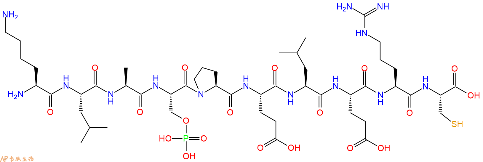 专肽生物产品H2N-Lys-Leu-Ala-Ser(PO3H2)-Pro-Glu-Leu-Glu-Arg-Cys-OH