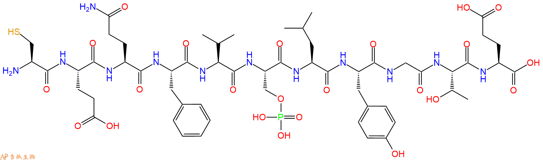专肽生物产品H2N-Cys-Glu-Gln-Phe-Val-Ser(PO3H2)-Leu-Tyr-Gly-Thr-Glu-OH