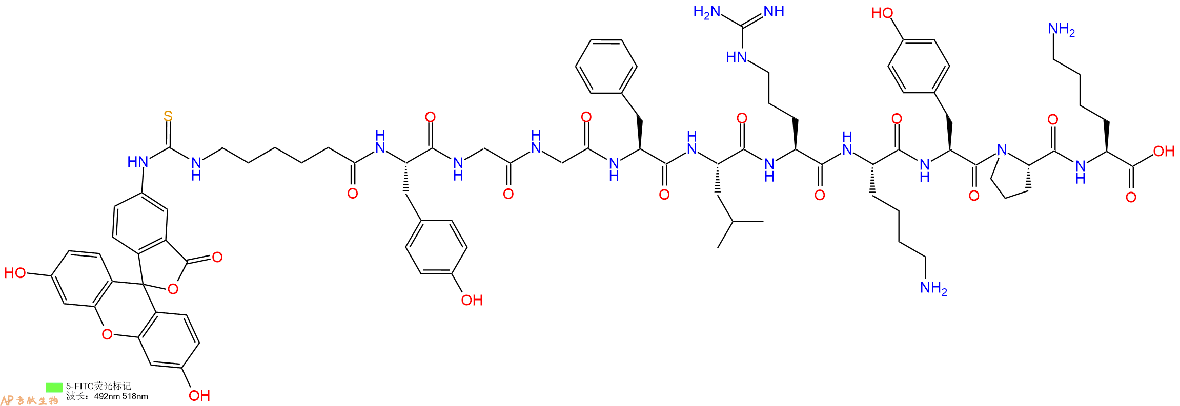 专肽生物产品5FITC-Ahx-Tyr-Gly-Gly-Phe-Leu-Arg-Lys-Tyr-Pro-Lys-OH