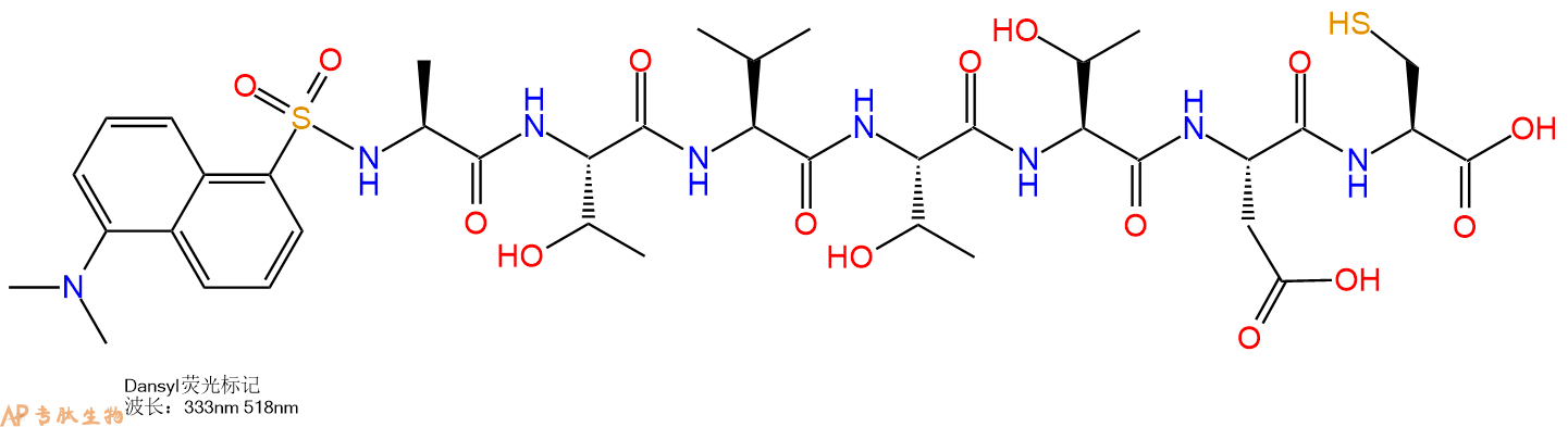 专肽生物产品Dansyl-Ala-Thr-Val-Thr-Thr-Asp-Cys-OH